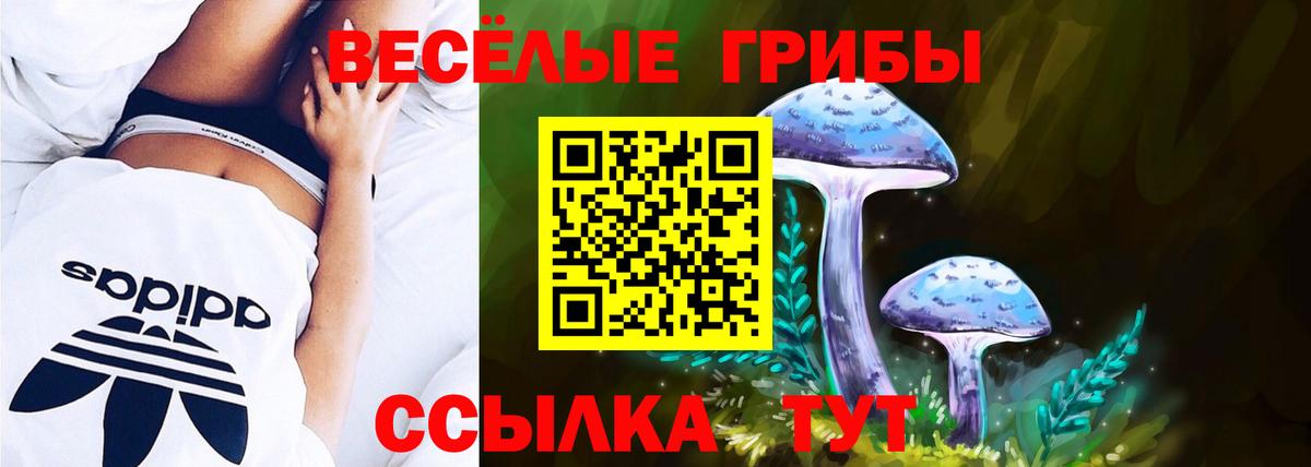Галлюциногенные грибы Magic Shrooms Ессентуки