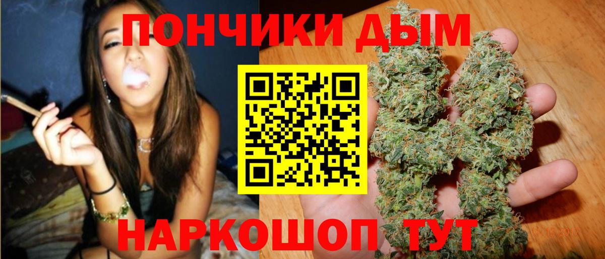 Шишки марихуана план Ессентуки